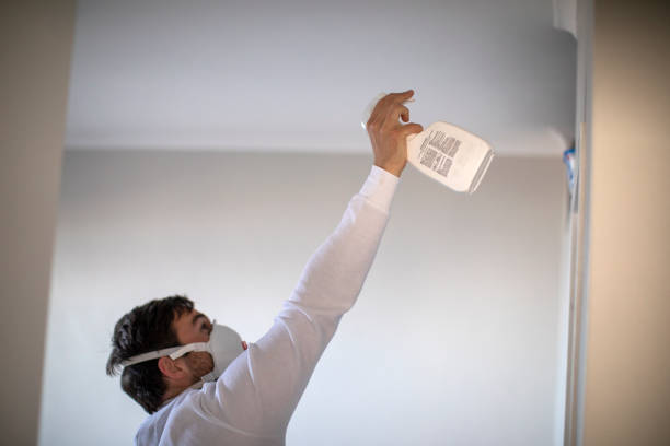 Best Mold Remediation  in Delhi, CA