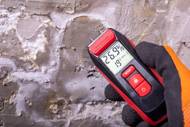 Best Mold Inspection  in Delhi, CA