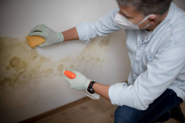 Best Crawl Space Mold Removal  in Delhi, CA