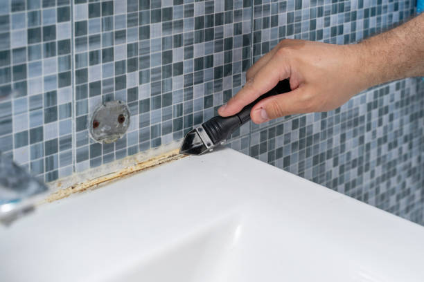 Best Best Mold Removal Companies  in Delhi, CA